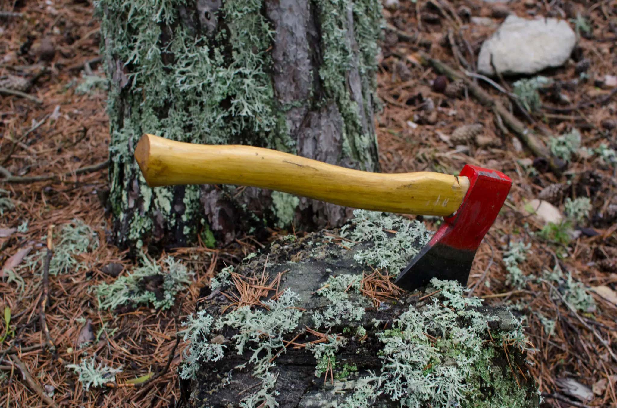 An Adaptation of 'Hatchet' Is In The Works With A Good Director Already Attached