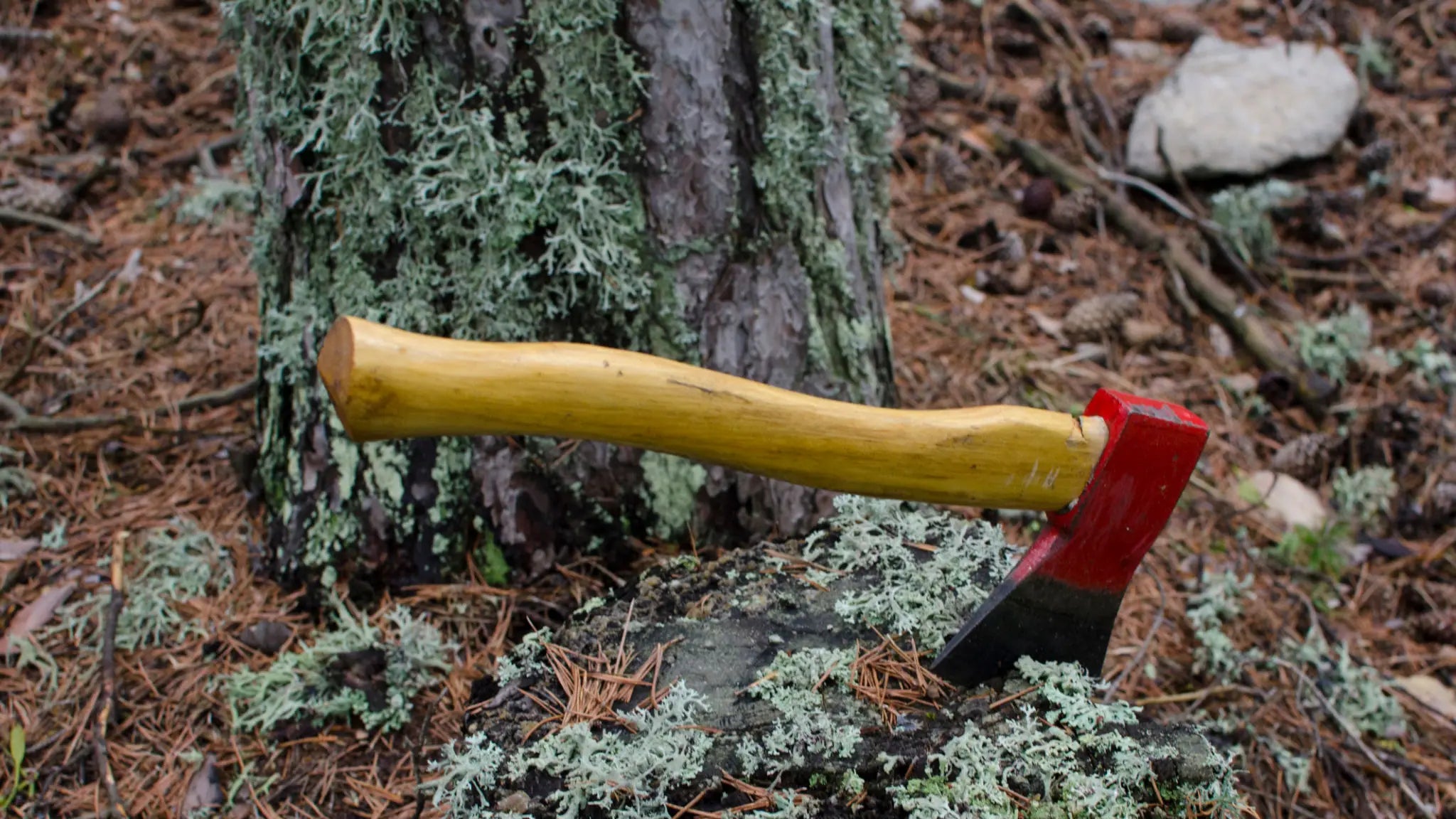An Adaptation of 'Hatchet' Is In The Works With A Good Director Already Attached