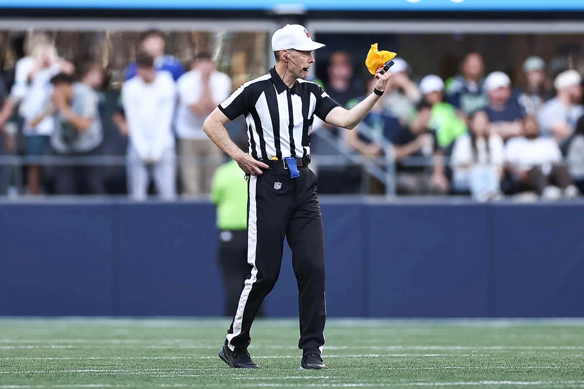 Dumbest Lie Ever Told - Roger Goodell Is Trying To Say The Number Of Flags Thrown Isn't The Refs Fault And Thinks 'Officiating Has Improved'
