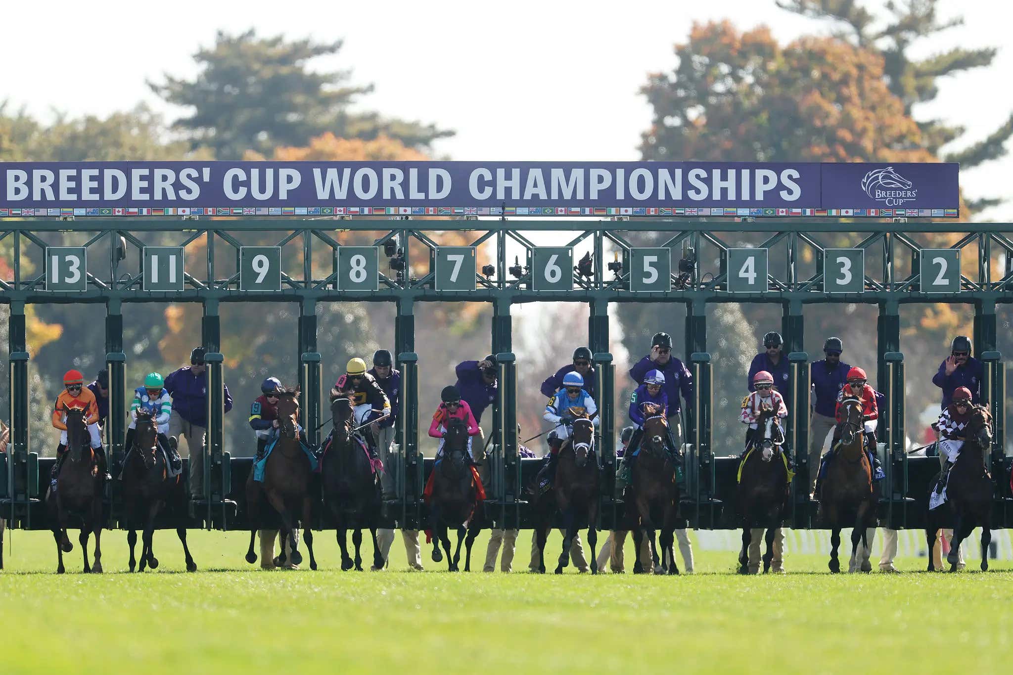 CHAMPIONSHIP SATURDAY: Picks and Ideas For Today's Nine Breeders' Cup Championship Races - At The Post With Mut