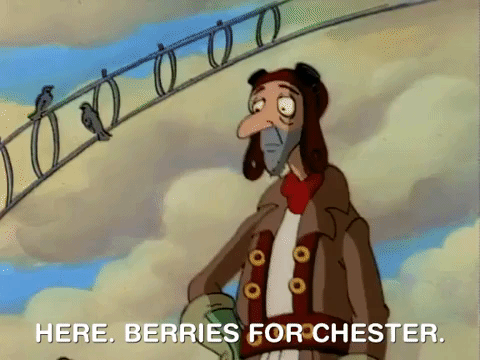 hey arnold nicksplat GIF hey arnold nicksplat GIF