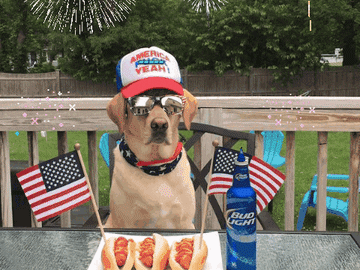 Happy Fourth of July! Here's Some Belmont Park Picks For Your Holiday Gambling
