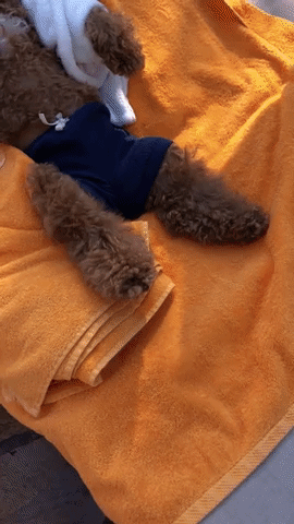 Sexy Happy Hour GIF Sexy Happy Hour GIF