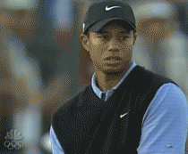 tiger woods win GIF tiger woods win GIF