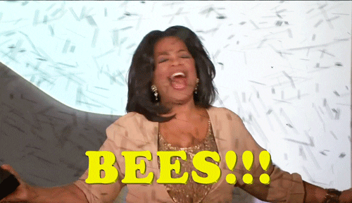 Bees GIF by Team Coco Bees GIF by Team Coco