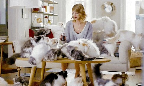 cat lady cats GIF cat lady cats GIF