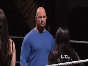stone cold GIF stone cold GIF