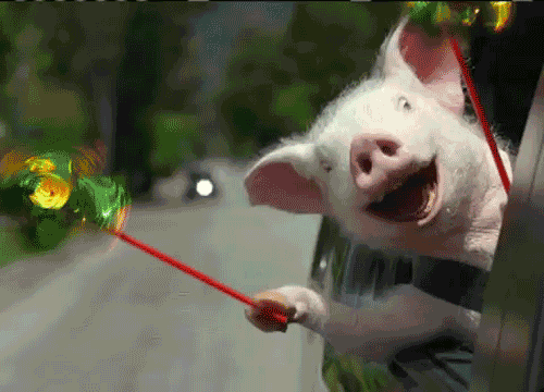 Happy Fun GIF Happy Fun GIF