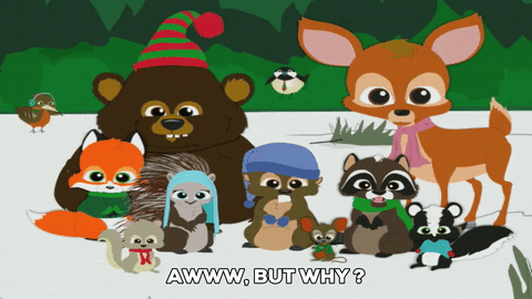 mischevious woodland critters GIF by South Park mischevious woodland critters GIF by South Park