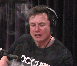 elon musk smoking GIF elon musk smoking GIF