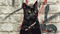 Meet The War Hero Who Killed A Whole Bunch Of Rats