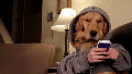 No one Is Going To Watch A Video Of Fireworks On Your Phone