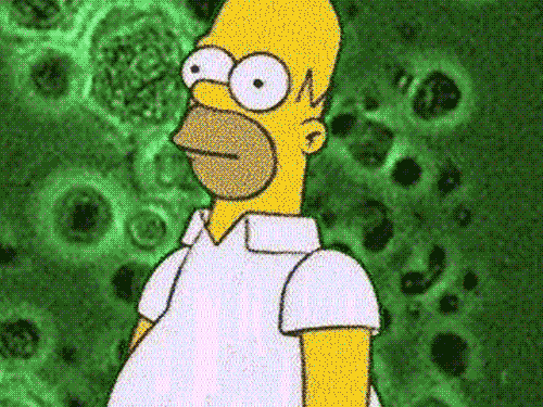 Lets' Get Away From Coronavirus and Politics & The Coronavirus