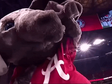 #3 Georgia (+6) vs #2 Alabama Pick Em Preview