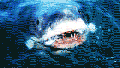 Hard Factor 10/21: Sharks Having a Big 2020, 50 Cent Scared of Cal "Kissing Machine" Cunningham, and Aliens Covered in Ranch