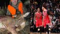 You Can Kill Every Deer In The World, But Good Luck Hunting My Chicago Bulls