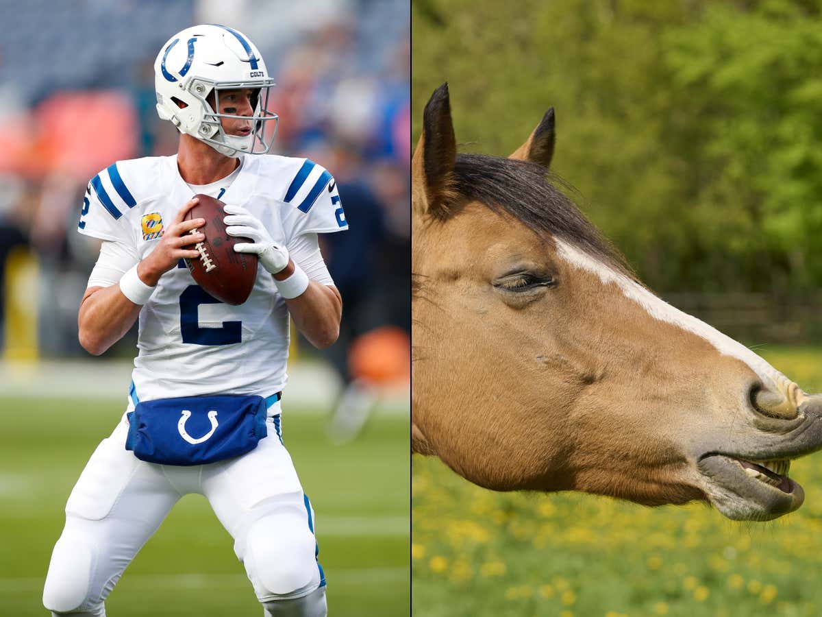 NEIGH!! COLTS ARE BACK! The Road To The 1pm Wild Card Game Is BACK ON
