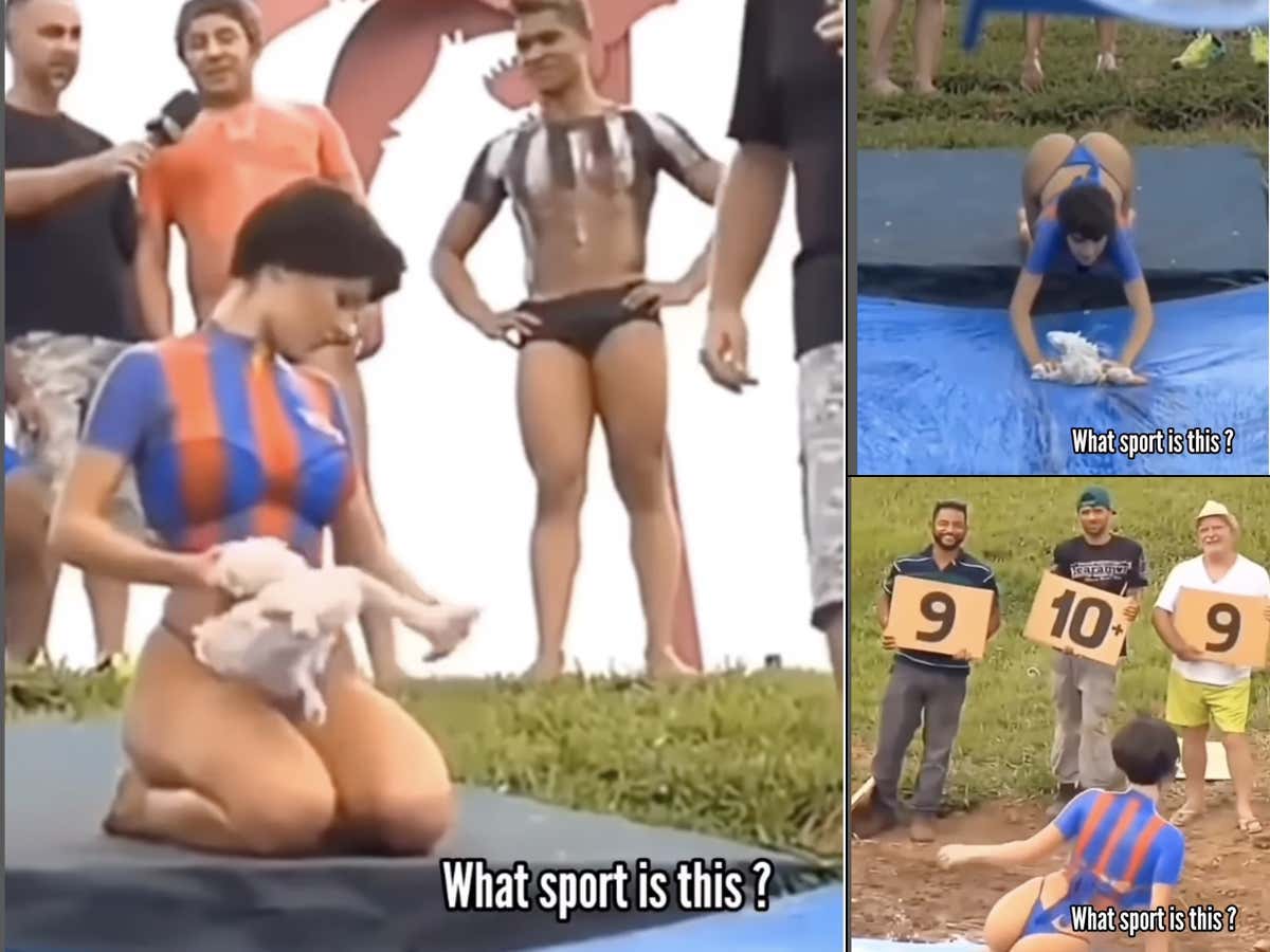 I Don't Know What Sport This Is, But We Need To Bring It To America Yesterday