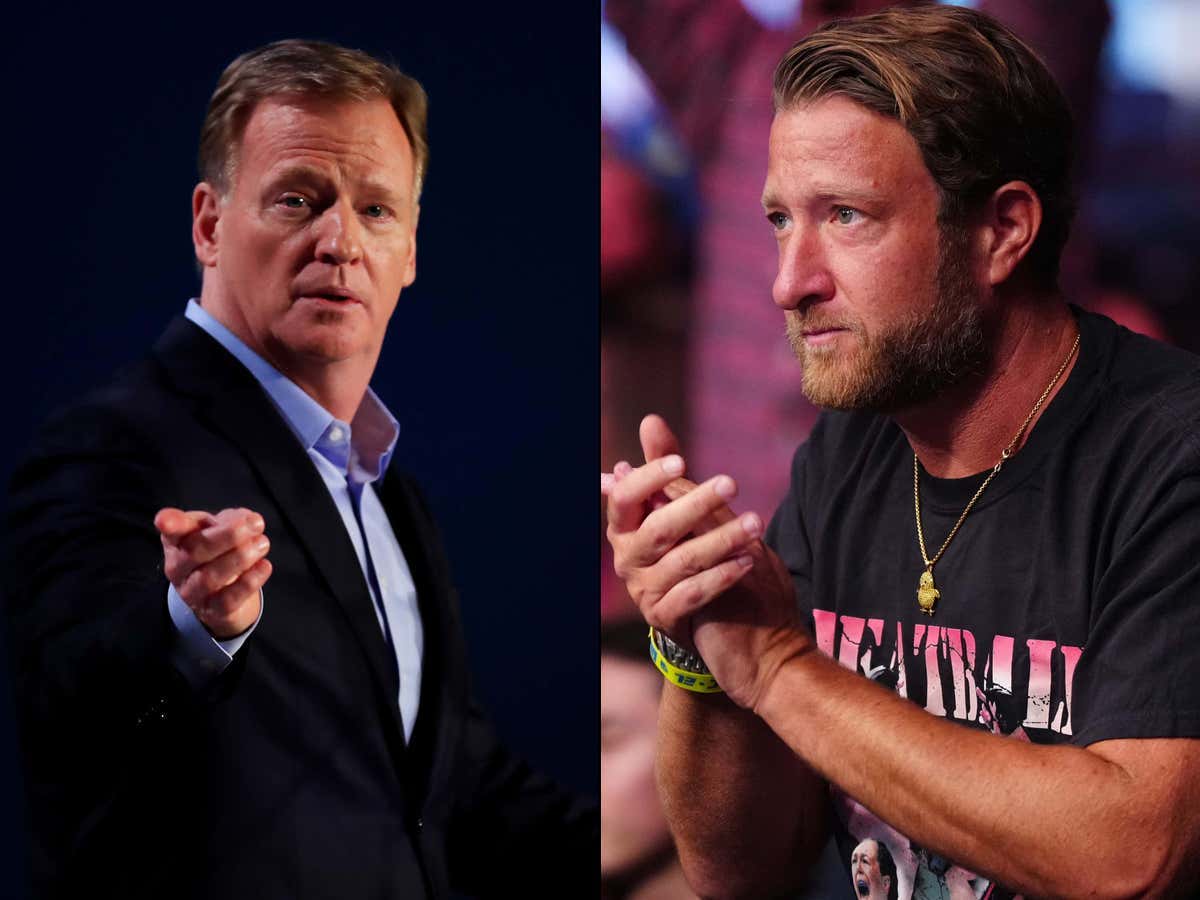 Dana White On Dream Slap Fights: Portnoy Beats Goodell, Jordan Beats LeBron