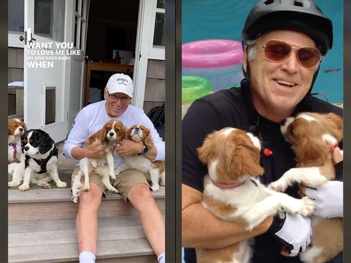 We've Got 3 New Jimmy Buffett Songs, Including One Featuring Paul McCartney, And One Of The Best Songs About Dogs Ever