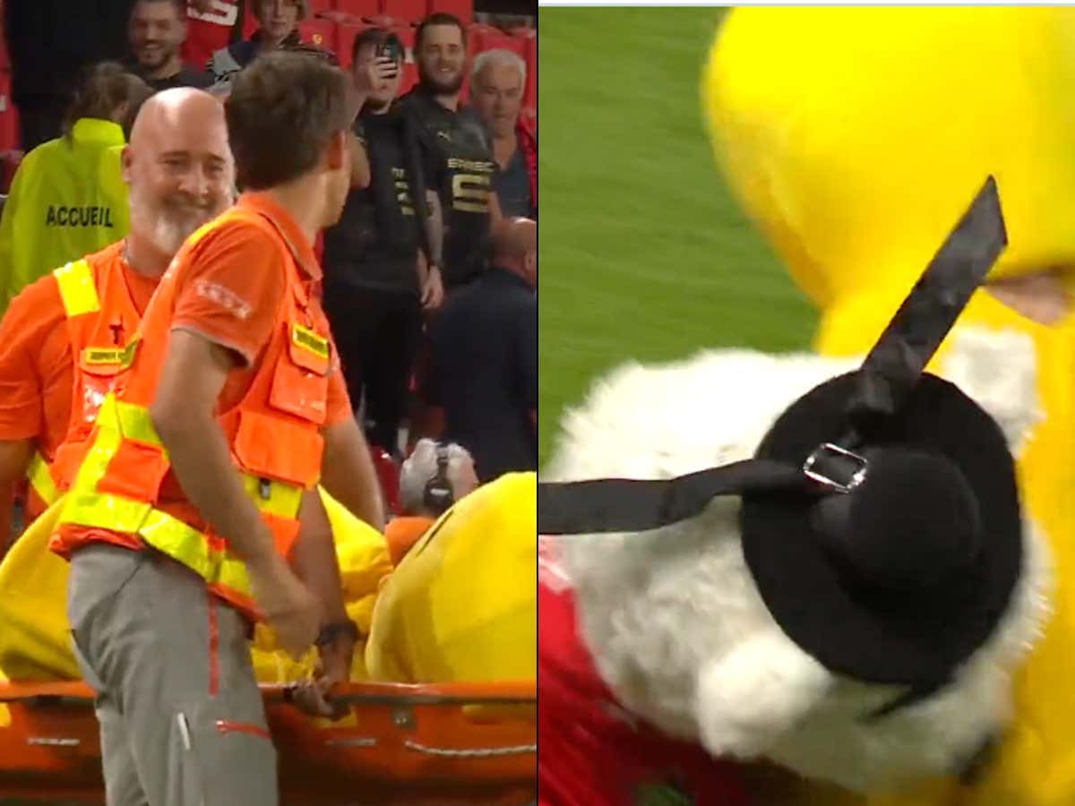 Dedication At Its Finest: French Soccer Team's Mascot Was Stretchered Off The Field After Losing Its Head While Getting Speared By Its Rival