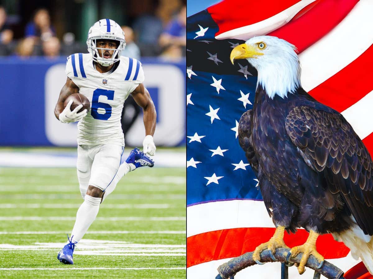 Bald Eagle Killing Conspiracy: Isaiah McKenzie Wants You to Know He DID NOT Kill a Bald Eagle