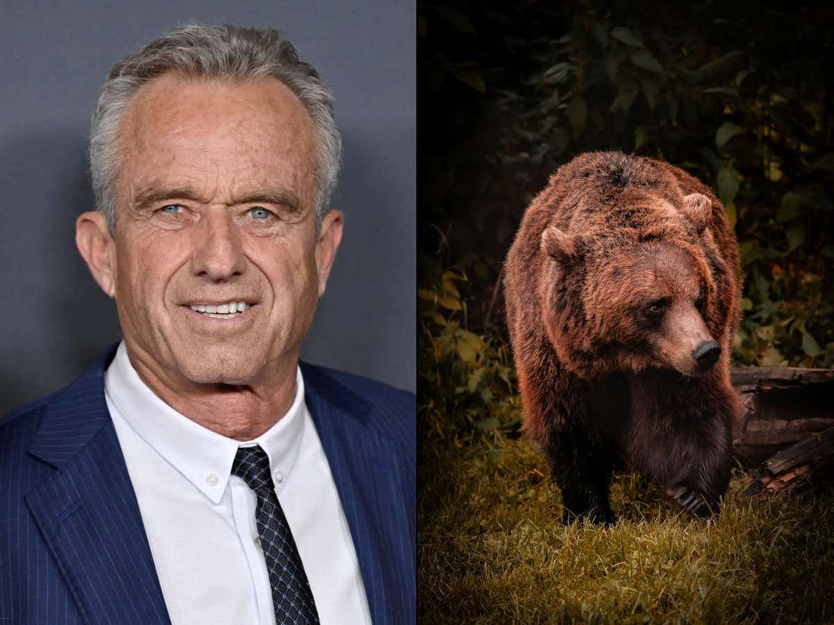 Presidential Candidate Robert F. Kennedy Confesses to Rosanne That He Left a Dead Bear in Central Park and Framed it as a Bike Accident Back in 2014