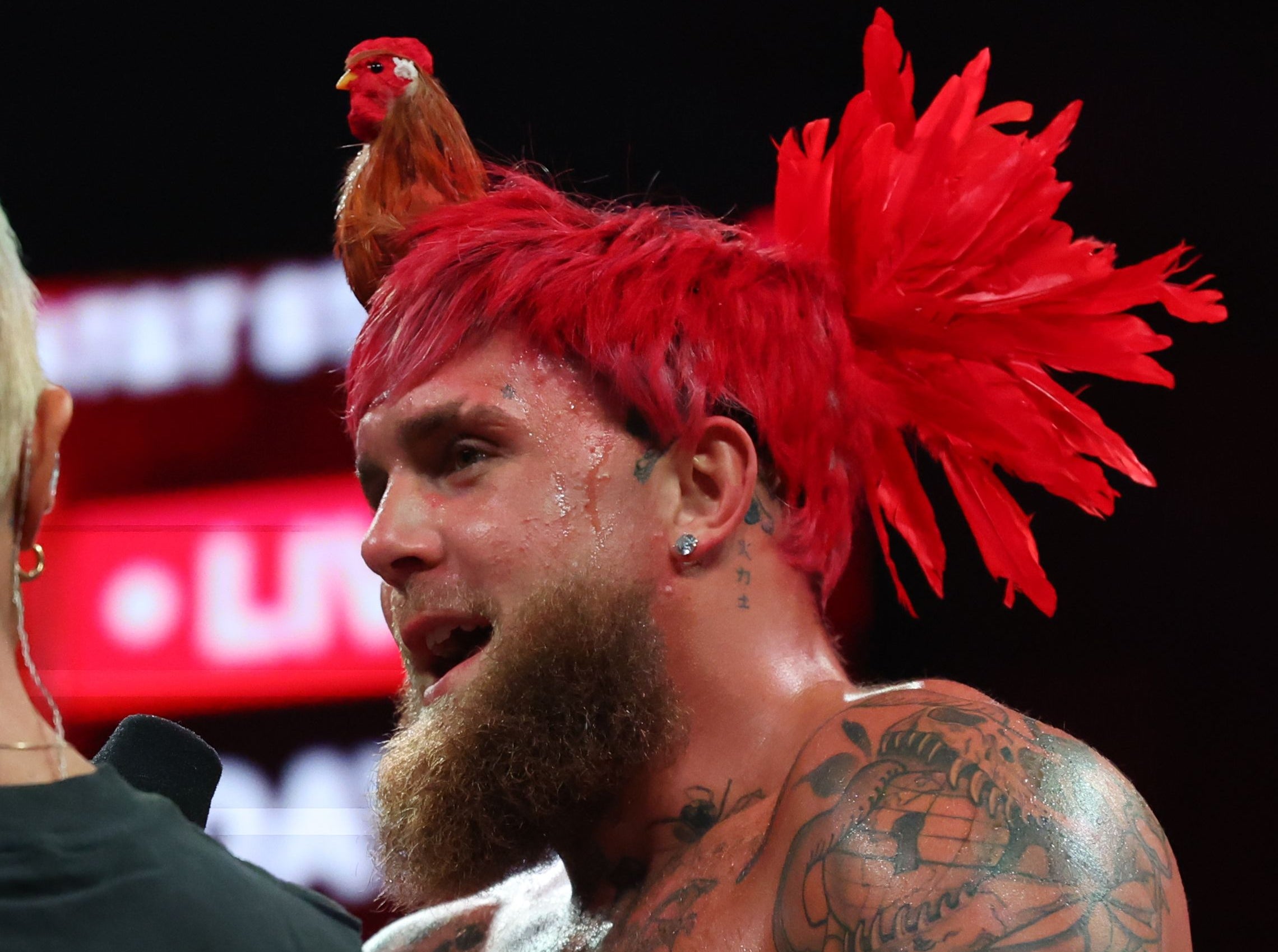 Luckily for Jake Paul, Canelo Will NOT Be Fighting Jake Paul In May