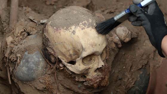 Scientists Have Found A Human Skull That Is A MILLION Years Old Proving That We Don't Know Shit About Shit