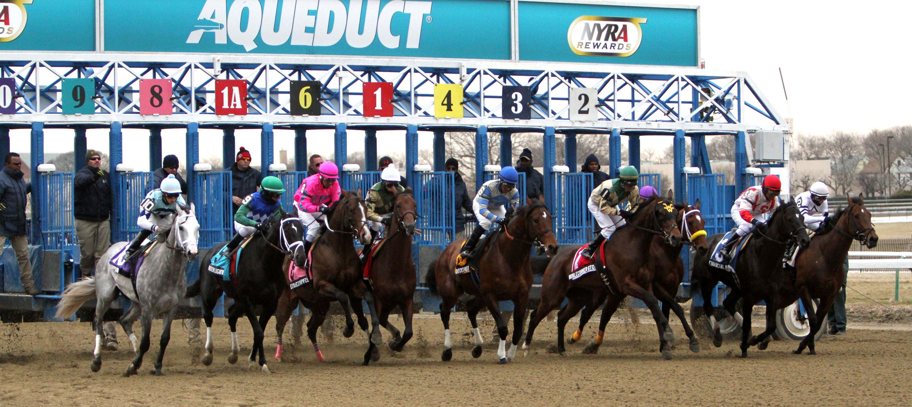 Go Go Greys Runner Silver Syndicate Gets Back To The Races And We Have Three Big Preps This Weekend - Kentucky Derby Prepping With Mut Volume 7