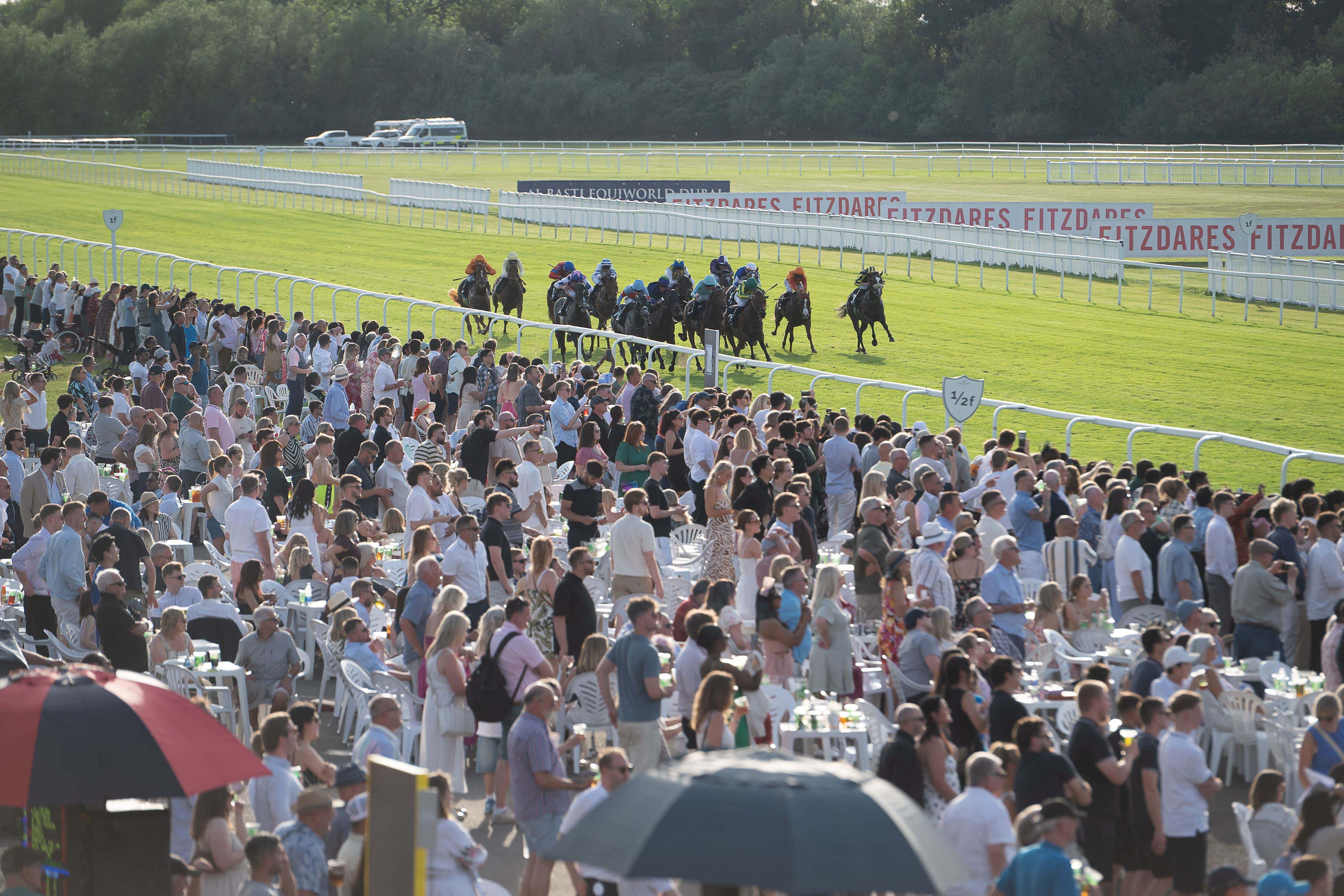 "Somebody Has to Explain This" - The Apparently Leaked Vet Information That's Shaking Up Horse Racing - At The Post With Mut