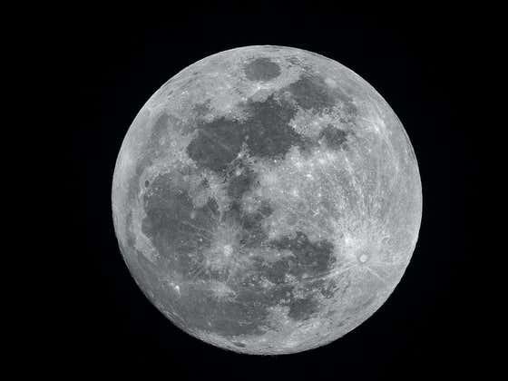 Great News: Starting In 2021 You Can Send Your Dead Ass Body To The Moon