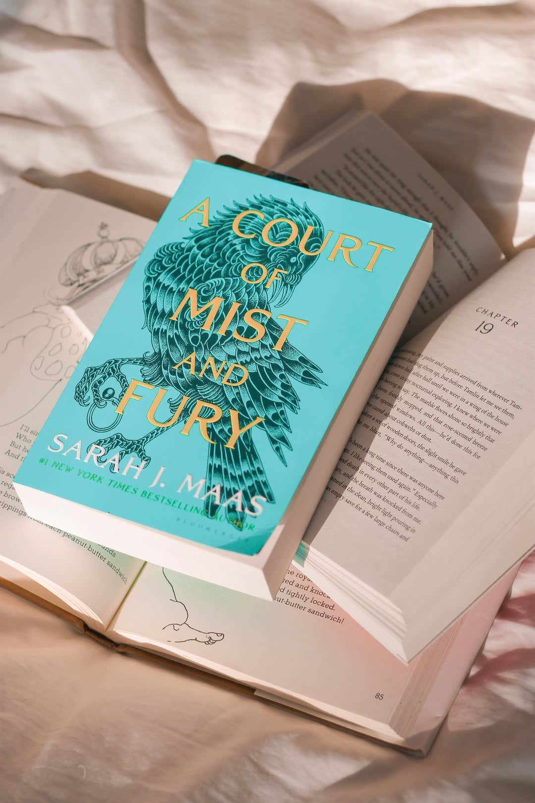 Fairy Porn Is On The Precipice Of Taking Over The World With The "A Court Of Thorns And Roses" Series