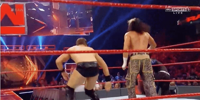 [Image: botch3.gif]
