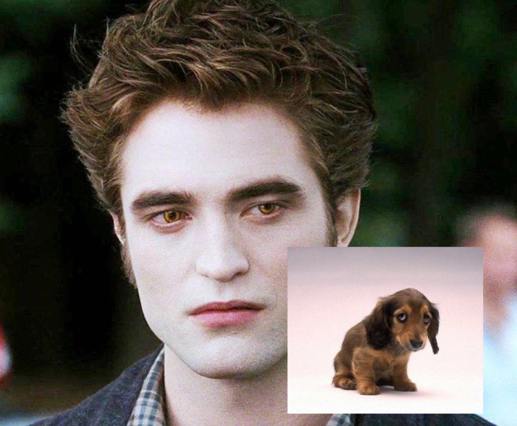 Robert Pattinson Took A Mighty Stand And Refused To Jerk Off A Dog For A Movie Barstool Sports