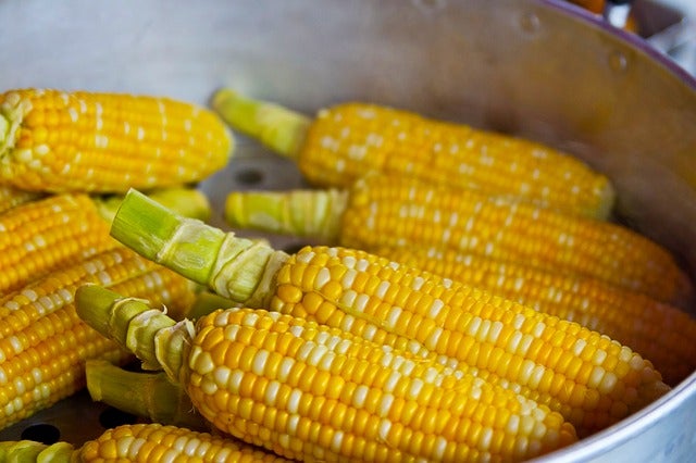 corn3