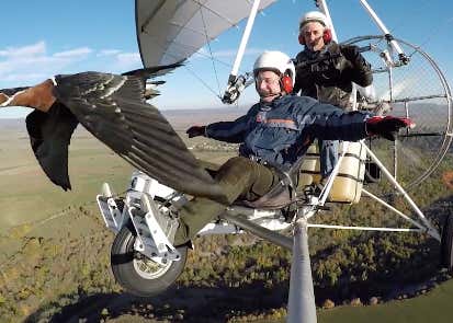 Screen Shot 2018-01-03 at 10.05.41 PM