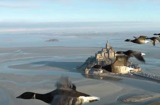 Screen Shot 2018-01-03 at 10.37.55 PM