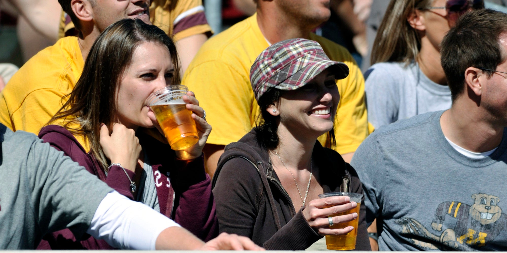 Minnesota Fans