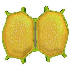 images-1