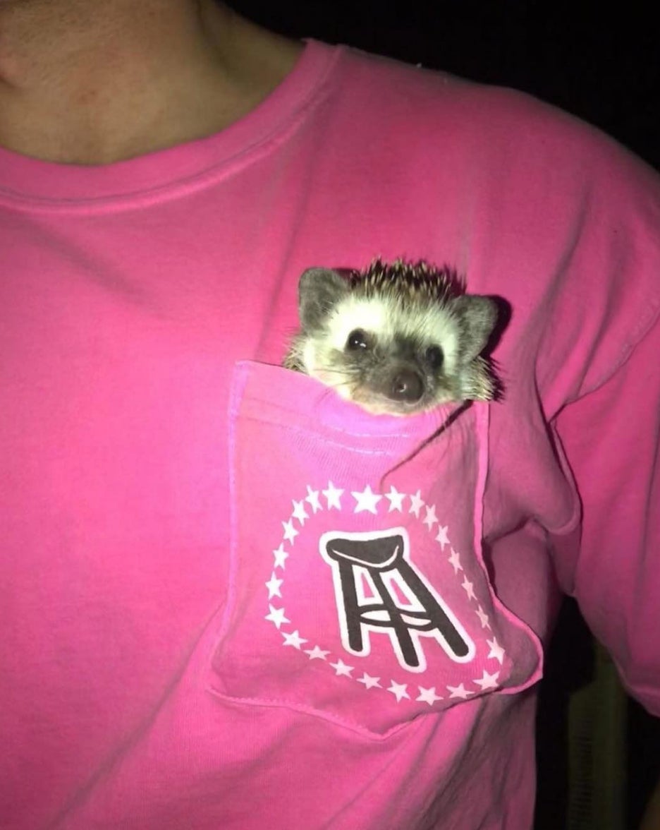 Screen Shot 2018-07-13 at 11.01.05 AM