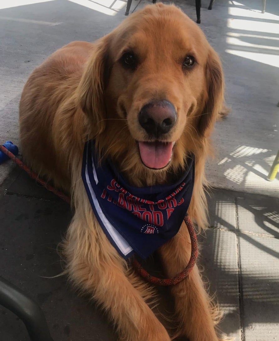 Screen Shot 2018-07-13 at 11.25.44 AM