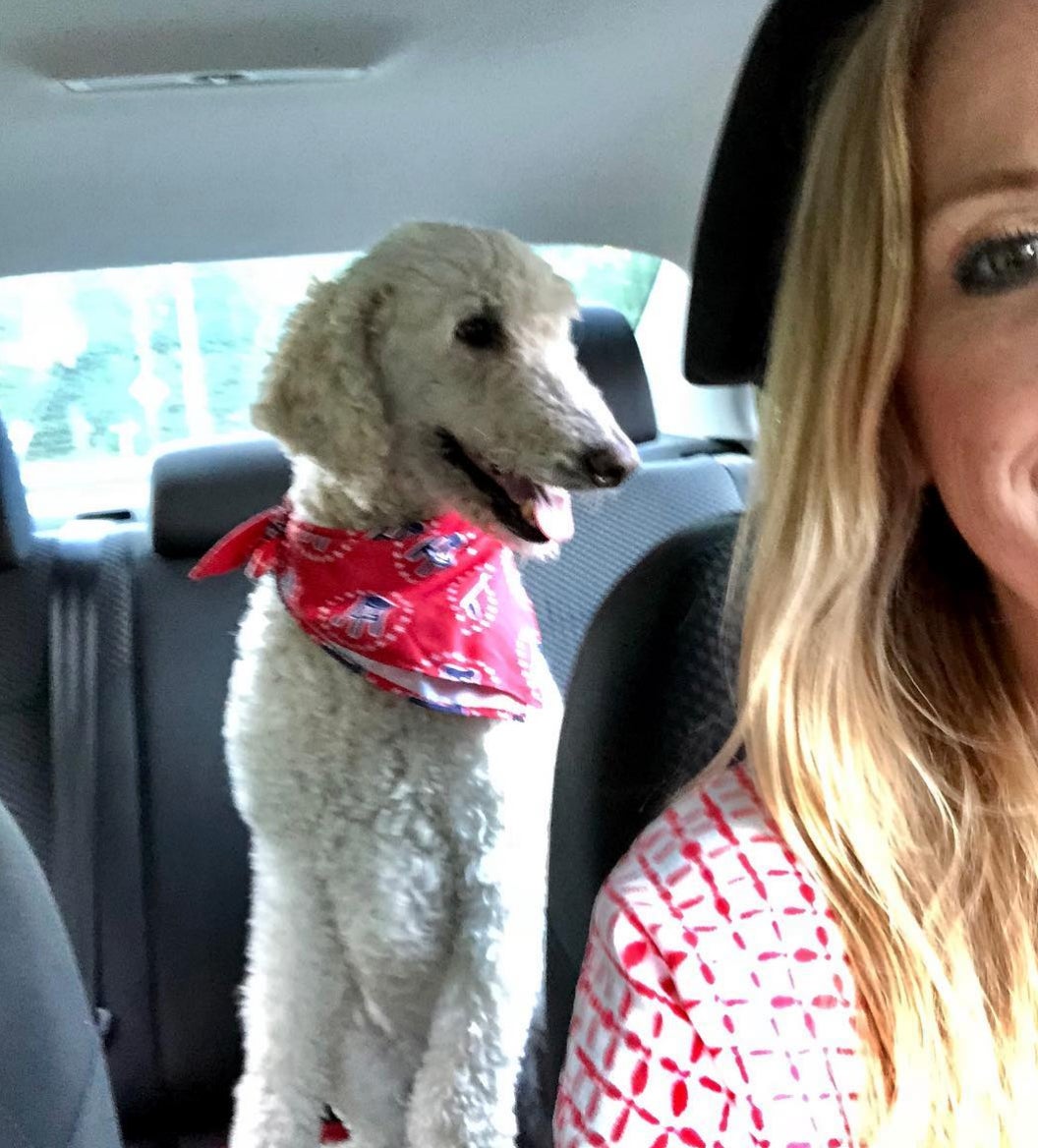 Screen Shot 2018-07-13 at 11.32.26 AM