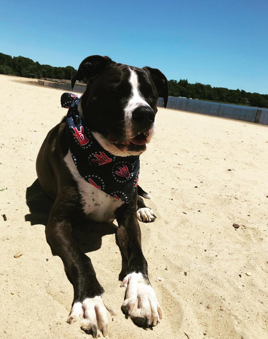 Screen Shot 2018-07-13 at 11.35.05 AM