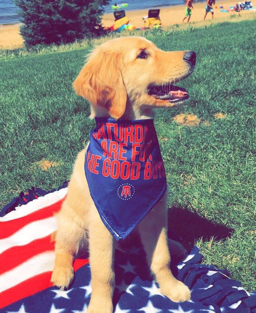 Screen Shot 2018-07-13 at 12.52.29 PM