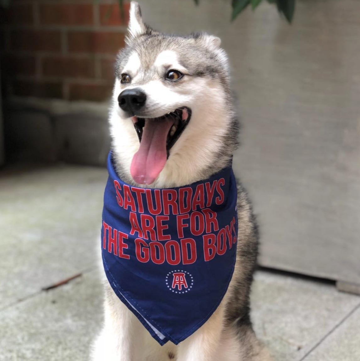 Screen Shot 2018-07-26 at 2.34.36 PM