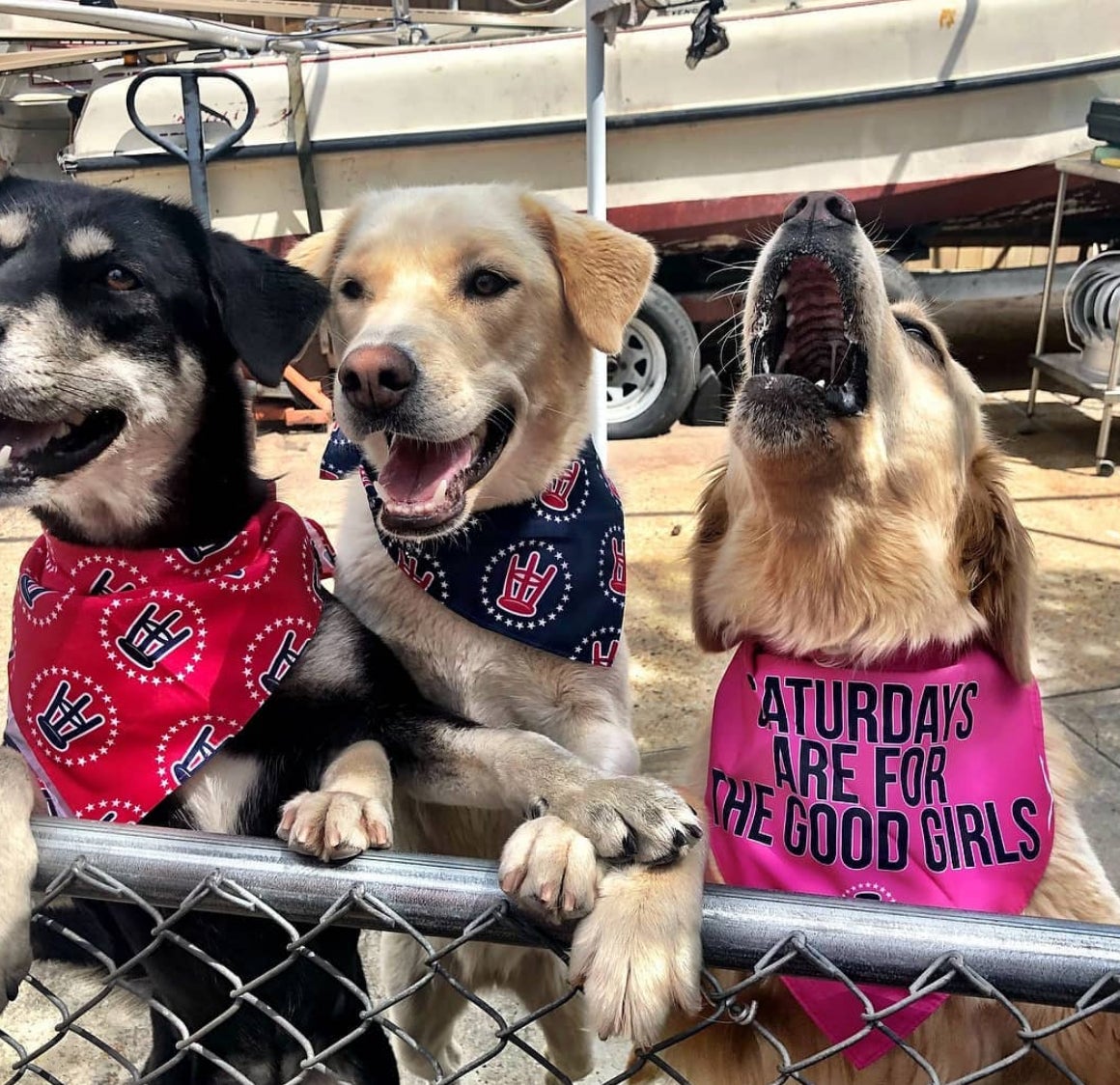 Screen Shot 2018-07-26 at 2.37.26 PM