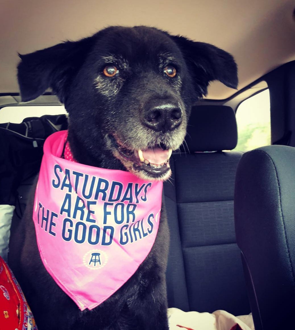 Screen Shot 2018-07-26 at 2.38.42 PM