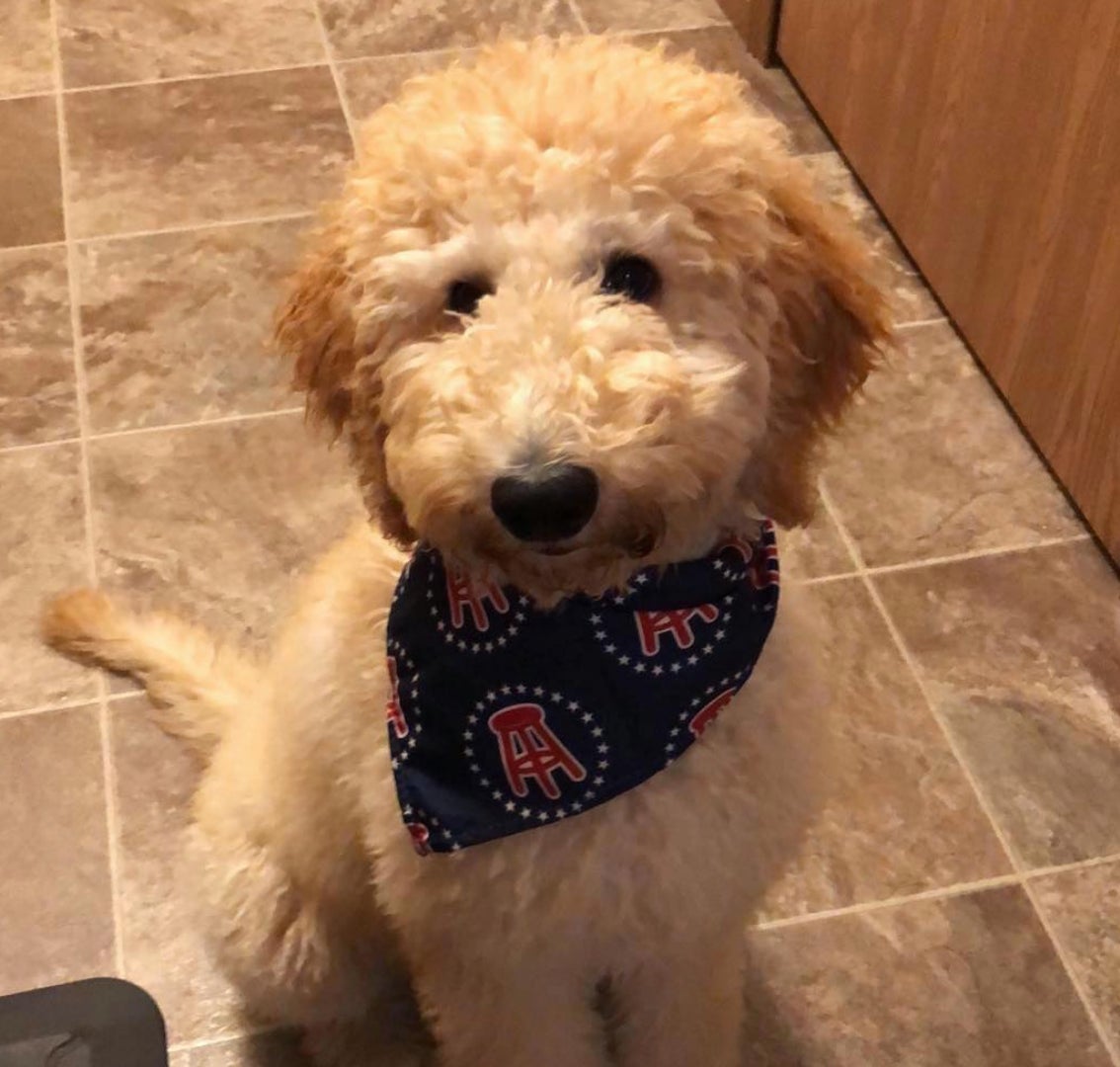 Screen Shot 2018-07-26 at 2.43.16 PM