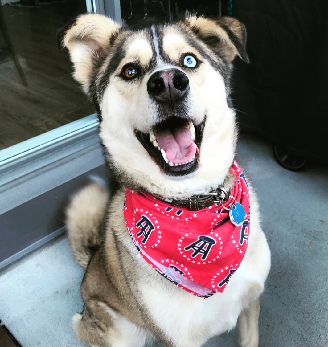 Screen Shot 2018-07-26 at 2.44.07 PM